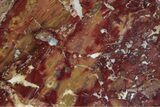 Free-Standing Polished Marston Ranch Jasper - Oregon #382194-2